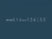 2022库尔勒seo究竟哪儿较好_费用要好多