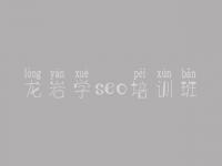 龙岩学seo培训班 seo教程是什么