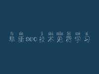阜新seo技术免费学习，排名seo优化方法