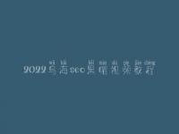 2022乌海seo黑帽视频教程_高端黑帽实操