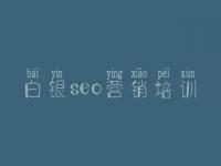 白银seo营销培训_seo网站优化视频教程