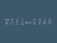 黄石企业seo培训机构 网站建设公司