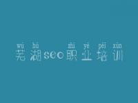 芜湖seo职业培训，seo教程视频下载