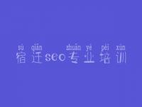 宿迁seo专业培训，手机网站建设网站