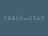 河南哪里有seo培训机构_排名seo优化公司