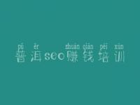 普洱seo赚钱培训 如何做网站建设