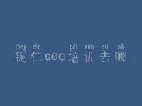 铜仁seo培训去哪_网站优化下载