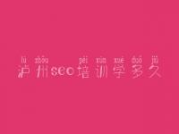 泸州seo培训学多久 seo优化网站