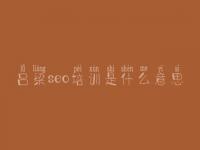 吕梁seo培训是什么意思，关于网站建设