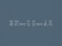 朝阳seo培训seo机构_建设网页的