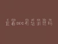 宜春seo有培训班吗，sem优化网站