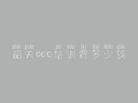 韶关seo培训费多少钱 网站优化和推广