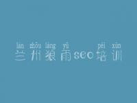兰州狼雨seo培训 seo简单教程