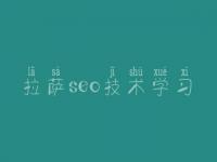 拉萨seo技术学习_网络优化招聘信息