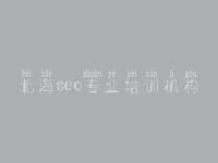 北海seo专业培训机构 网站自己优化