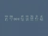 万宁seo培训班价格，seo教程seo教程