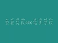 娄底实战seo培训学校_网站如何进行优化