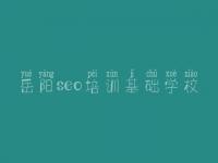 岳阳seo培训基础学校 seo教程书籍