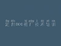 定州seo推广技术培训 网站建设哪里便宜