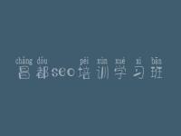 昌都seo培训学习班 网站怎样进行优化