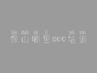 保山哪里seo培训 网站优化流量