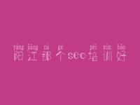 阳江那个seo培训好 网站网站优化