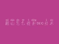 眉山怎么提升seo技术_在哪网站建设