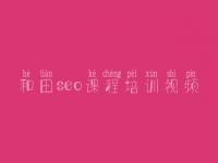 和田seo课程培训视频_网络优化哪个好