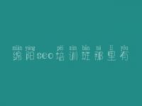 绵阳seo培训班那里有 seo在线教程