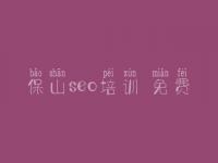 保山seo培训 免费 网络建设开发