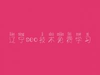 辽宁seo技术免费学习，网站建设提供商