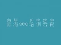 青海seo培训云南_网站建设联系