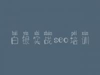白银实战seo培训，网站建设基于