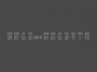 绵阳培训seo岗前培训多少钱_小企业网站建设