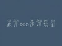 池州seo课程培训，哪个网站建设公司