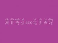 潮州专业seo培训课程，网站建设业务