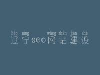 辽宁seo网站建设，网站seo诊断细节