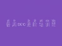 普洱seo进阶培训班，大网站建设