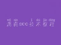 渭南seo技术教程_网络搜索引擎优化