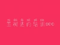 玉树达内培训seo，网络建设方法