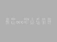 保山seo中级培训班_零基础学seo视频教程