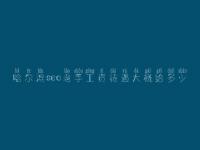 哈尔滨seo老手工资待遇大概给多少