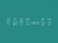 芜湖在线seo培训 优化个人网络