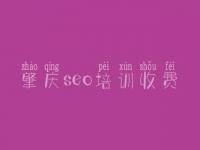 肇庆seo培训收费，seo优化视频教程