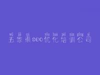 五家渠seo优化培训公司，seo教程哪家好