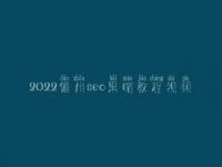 2022儋州seo黑帽教程视频_一流黑帽实战