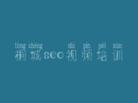 桐城seo视频培训，网站优化资讯