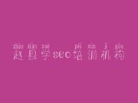 赵县学seo培训机构，平台网站优化方案