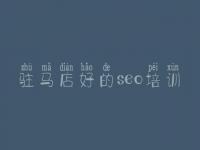 驻马店好的seo培训 网站需要优化吗