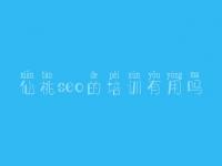仙桃seo的培训有用吗，专业网站优化